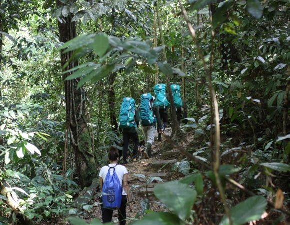 Trekking Hutan