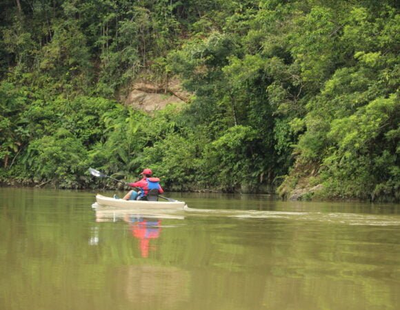 Sungai Batang Bio